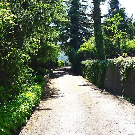 Arte And Cuisine Bed & Breakfast Serravalle Scrivia